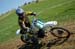 Lawn3062